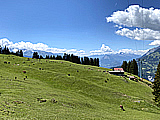 Alphütte mieten Grüsch Danusa Schweiz