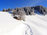 Berghaus Gatnisch Winter